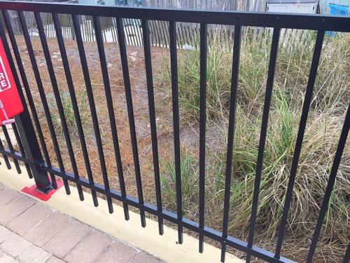 Railing Restoration
